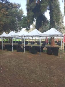 "حديقة الاورمان" تستعد لتنظيم مهرجان العسل المصري بعد غدا بمشاركة 100 عارض