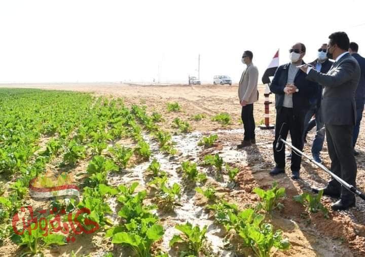 الرئيس السيسى : مشروع مستقبل مصر استراتيجية لتعظيم فرص الإنتاج الزراعى