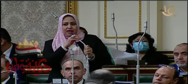 سحر صدقي نائبة الصعيد وحزب الأغلبية تعترض على قرارات وزير التموين