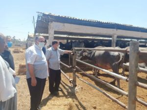 السكرتير المساعد لمحافظ أسيوط يتفقد مشروع الثروة الحيوانية بأبنوب والفتح.
