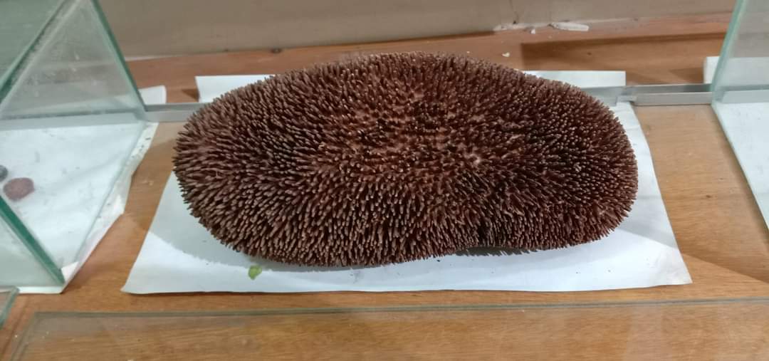 مكان له تاريخ الحديقة