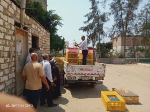 توزيع دفعة جديدة بإجمالي ٣٨٠ طائر على ١٩ من المتقدمين لمشروع تربية البط .