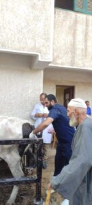 الزراعة انطلاق قافلة معهد التناسليات الحيوانية البيطرية في محافظة البحيرة لعلاج مواشي صغار المزارعين مجانا.
