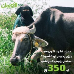 الاورمان تسهل على المتبرعين المشاركة بسهم رؤوس المواشي ب 350جنيه